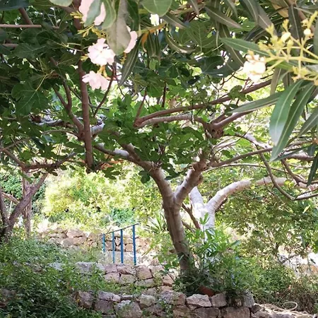 Casa Blu Posada (Sardinia)