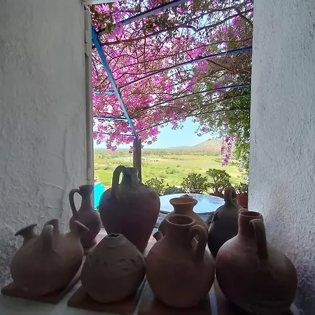 Casa Blu فيلة